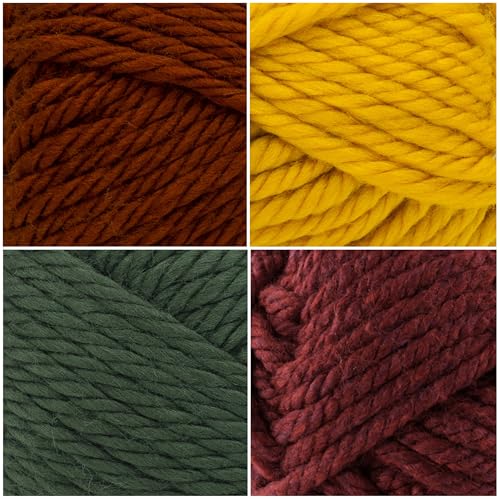Image of Lion Brand Yarn, Hometown Super Bulky Yarn, Cornucopia Pack, 12 Skeins
