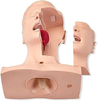 Suck Sputum Practice Model Anatomical Intubation Manikin Airway Management Trainer Suction Tube Nasal Oral Anatomy Suck Sputum Practice Model for Nursing Teaching