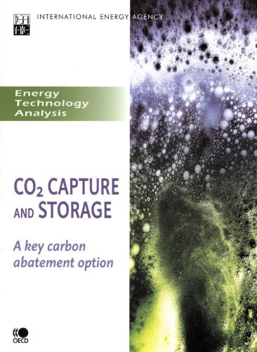 Buy Cob2s Capture and Storage: A Key Carbon Abatement Option (Energy Technology Analysis) — BookShops.in