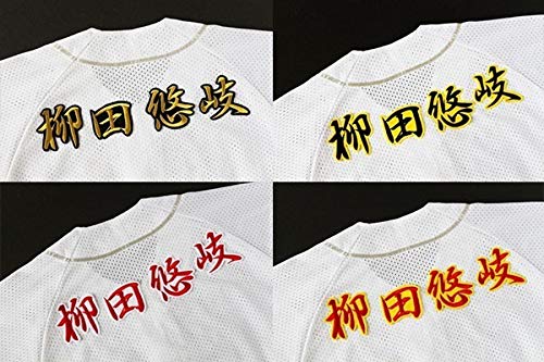 Amazon.co.jp: 柳田 悠岐 ネーム 刺繍 ワッペン ソフトバンク ホークス