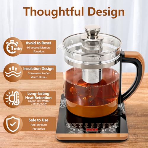 Hervidor eléctrico multifuncional con infusor 1.8L miniatura 2
