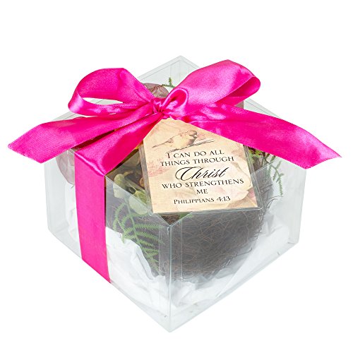 Cottage Garden I Can Do All Things Through Christ Gift Boxed Floral Bird Nest with Eggs