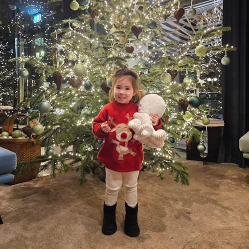 Toddler Baby Boy Girl Knit Sweater Christmas Outfit Deer Pullover Crewneck Sweatshirt Warm Christmas Sweater2