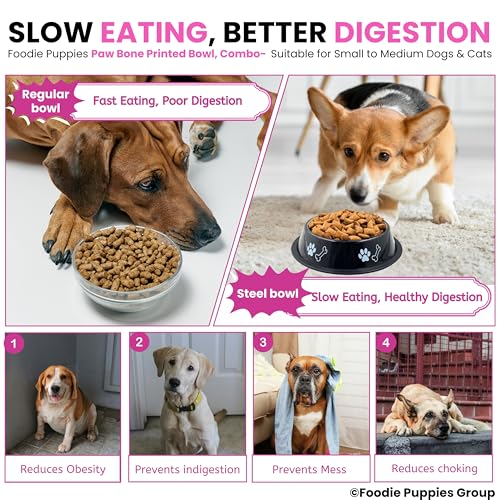 Image of Foodie Puppies Stainless Steel Dog Bowl Combo - (Medium, 700ml) Food and Water Feeding Gift Bowl | Suitable for Dogs, Cats and Other Pets I Paw Bone Print, Anti-Skid Rubber Base (Pink + Black)