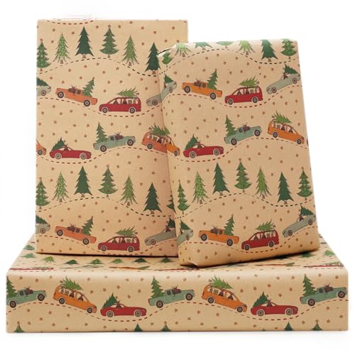 AircooL NX}XJ[bsOy[p[AJtȃNX}XgbNƃc[bvy[p[A6̐܂V[g 28x20C` NX}Xbvy[p[ VN NX}X ~ zf[p