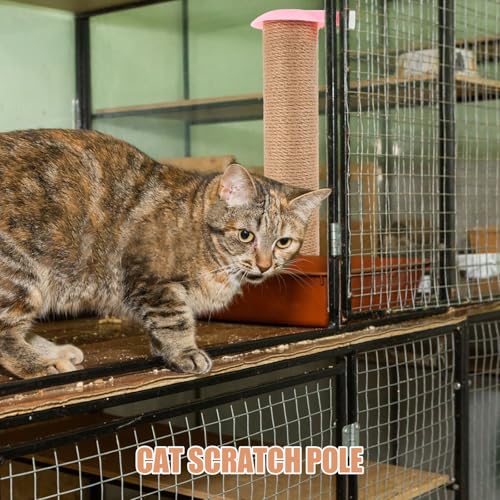 Poste para rascar gato con cuerda de yute 30 cm miniatura 5