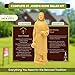 Imerance St Joseph Statue for Selling House,Faith-Based St Joseph Statue with House Selling Prayer Card, Ideal for Sell Homes,Religious Activities(Ivory 4Inch 1pcs)