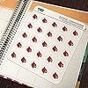 University of Louisville Secondary Logo 1" Planner Calendar Scrapbooking Crafting Clear Stickers #3