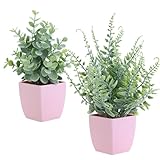 summer flower 2 Pack Small Fake Plants in Pink Pot Artificial Plant Eucalyptus Faux Potted Greenery Wheal Grass for Home Decor Indoor Bathroom Office Desk Shelf Bedroom Kitchen Cabinet Decorations