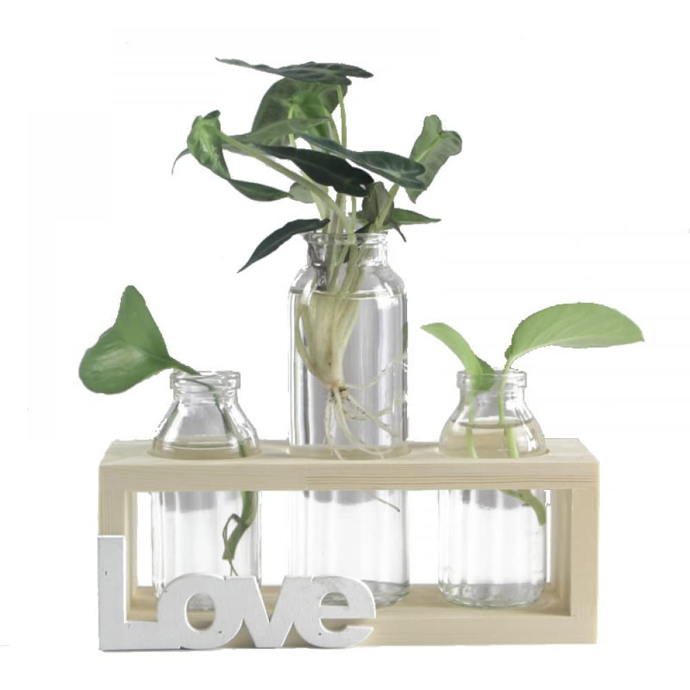 YXSH Station De Propagation des Plantes Vase Bouteille en Verre Plantes Hydroponiques Pot De Terrarium avec Support en Bois pour Mariage Bureau À Domicile Jardin Décoration De Table Vases À Bulbe