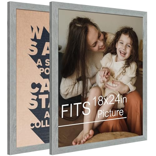 Frametory 18x24 Grey Poster Frame with Acrylic Front, Wall Mount (2 Pack)