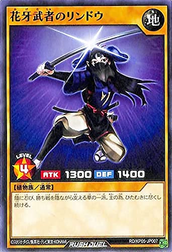 遊戯王 - リトパ Amazon.co.jp: 【3枚セット】 遊戯王カード DBJH-JP035 K9-17号