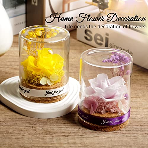 Lg Louis Garden Eternal Rose, Preserved Rose In Glass Dome, Forever Real Flower Romantic Gift For Her, Mother's Day Wedding Anniversary Birthday Gifts For Women Mom Grandma, Yellow & Purple #TOP1