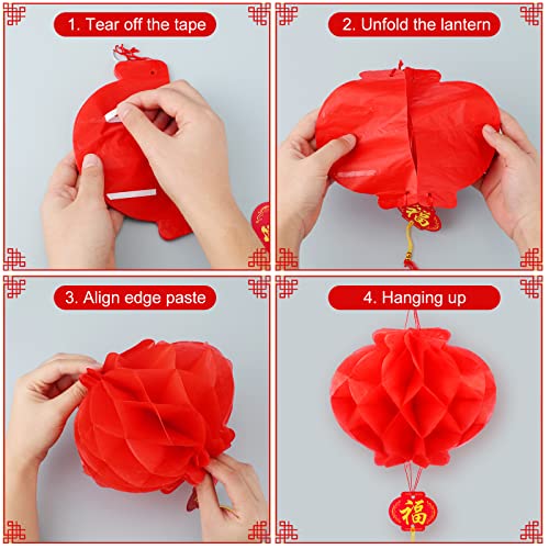 Japanese Chinese Lanterns