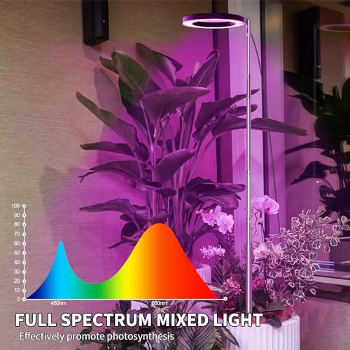 Qoolife Pflanzenlampe led Vollspektrum für Zimmerpflanzen, 155 CM Höhenverstellbare Pflanzenlicht mit 72 LEDs, 3 Dimmbaren Helligkeitsstufen, Zeitschaltuhr 3/9/12 Stunden für Indoor Pflanzen 2 Stück