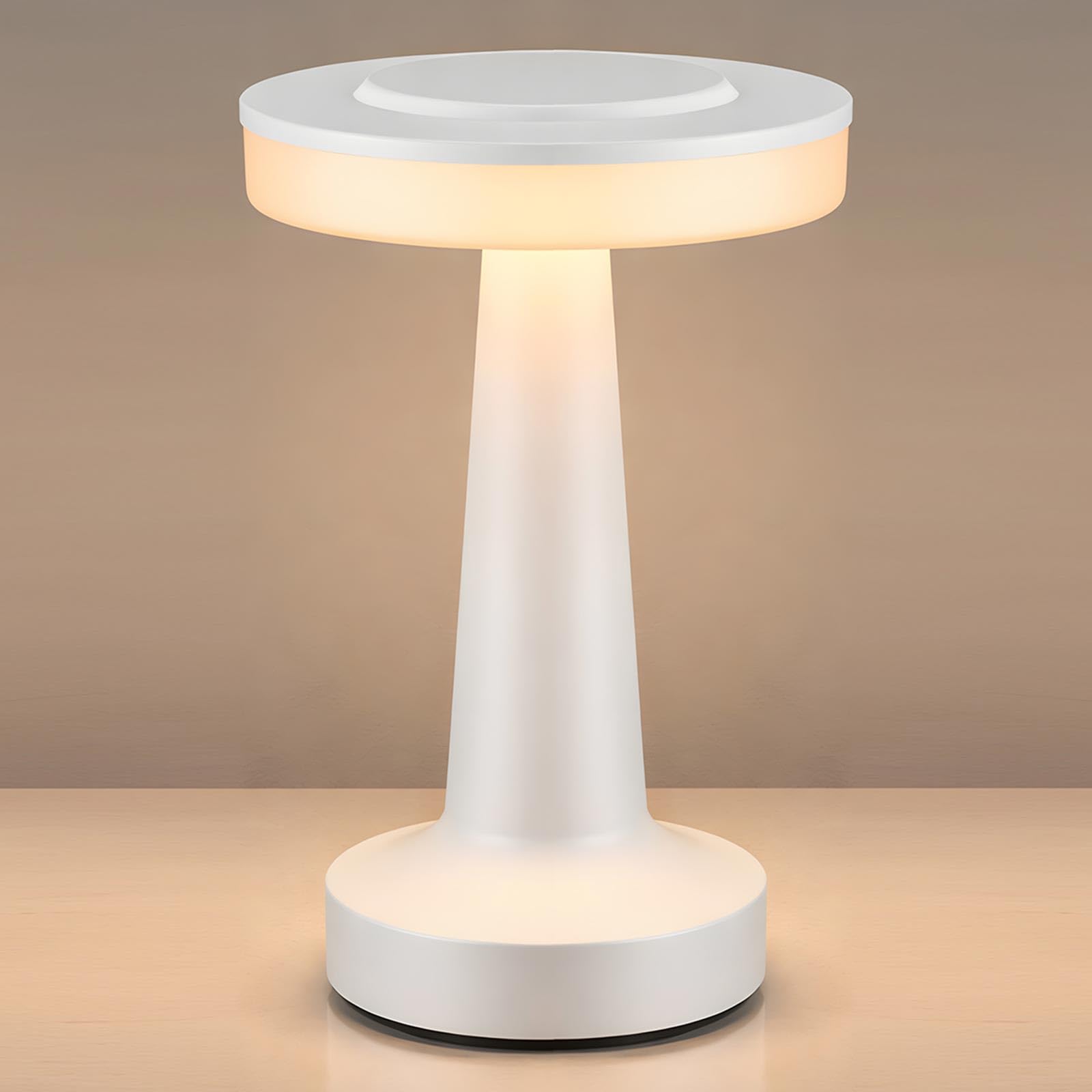 Riakrum 1 Pcs LED Cordless Table Lamp Bulk Rechargeable,White