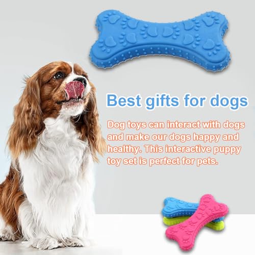 MKEAWWU 3Pcs Robustes Hundespielzeug Knochen geformt Kauspielzeug aus Hartgummi, Zähne reinigen und Zahnfleisch massieren Zähne Beruhigen Jucken Welpe Kauen Spielzeug für mittlere kleine Hunde
