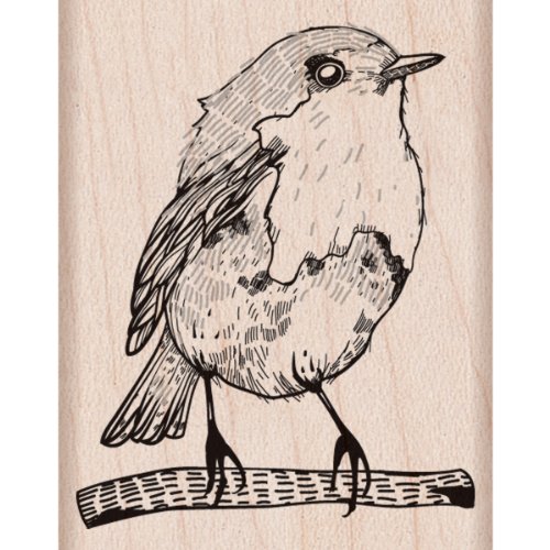 Hero Arts D5890 Wood Stamps, Bird