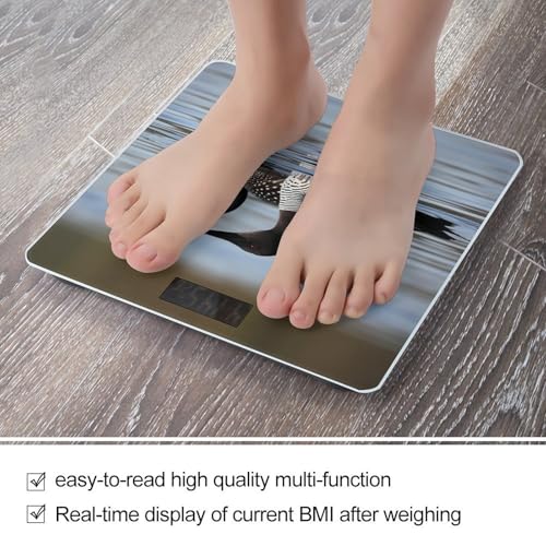 Balanza digital de baño Loon Birds con sensores precisos miniatura 5