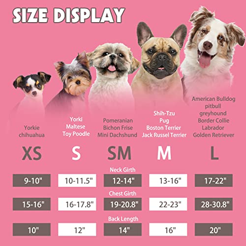 Ropa, Pet Products Imagen adicional