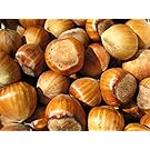 In Shell Filberts (Hazelnuts) - 5 lb.