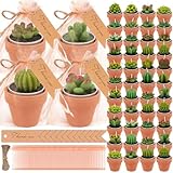 36 Piezas Velas de Cactus Suculentas para Fiestas - Velas de Té Suculentas, Hogar