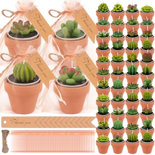 36 Pcs Succulent Cactus Candles Party Favors- Succulent Tealight Candles,