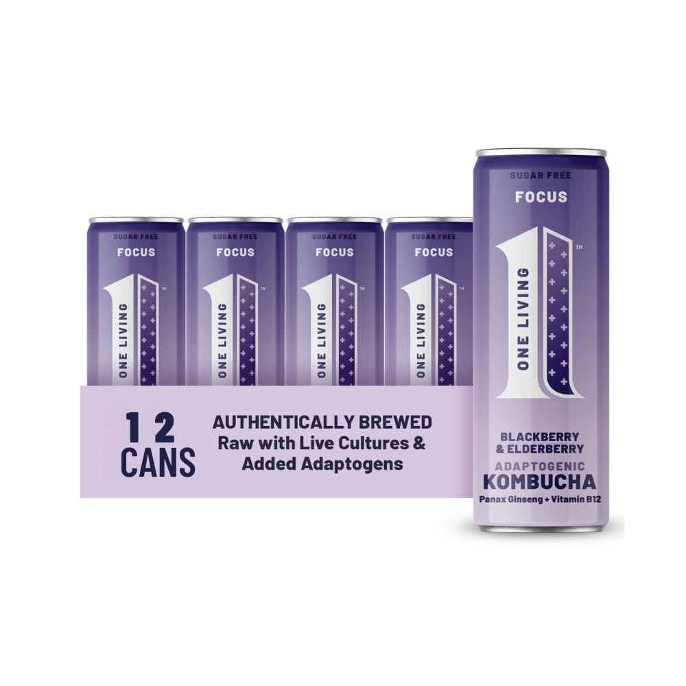 One Living Plus Focus Kombucha Drink - Blackberry and Elderberry 12x 250ml Cans - Authentically Brewed Kombucha with Live Cultures - Added Panax Ginseng and Vitamin B12