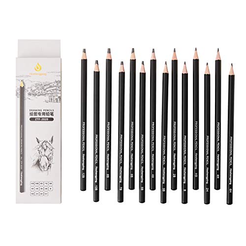 Drawing Pencils for Sketching - 14 Pieces Sketch Pencils, Graphite Pencils, Shading Pencils for Drawing, Basic Sketching Pencils for Beginners and Artists