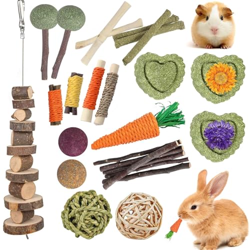 lisetar Rabbit Toys Guinea Pig Hamster Bunny 18Pcs Natural Timothy Hay Sticks Apple Wood Sticks Chinchilla Toys for Teeth Care Handmade