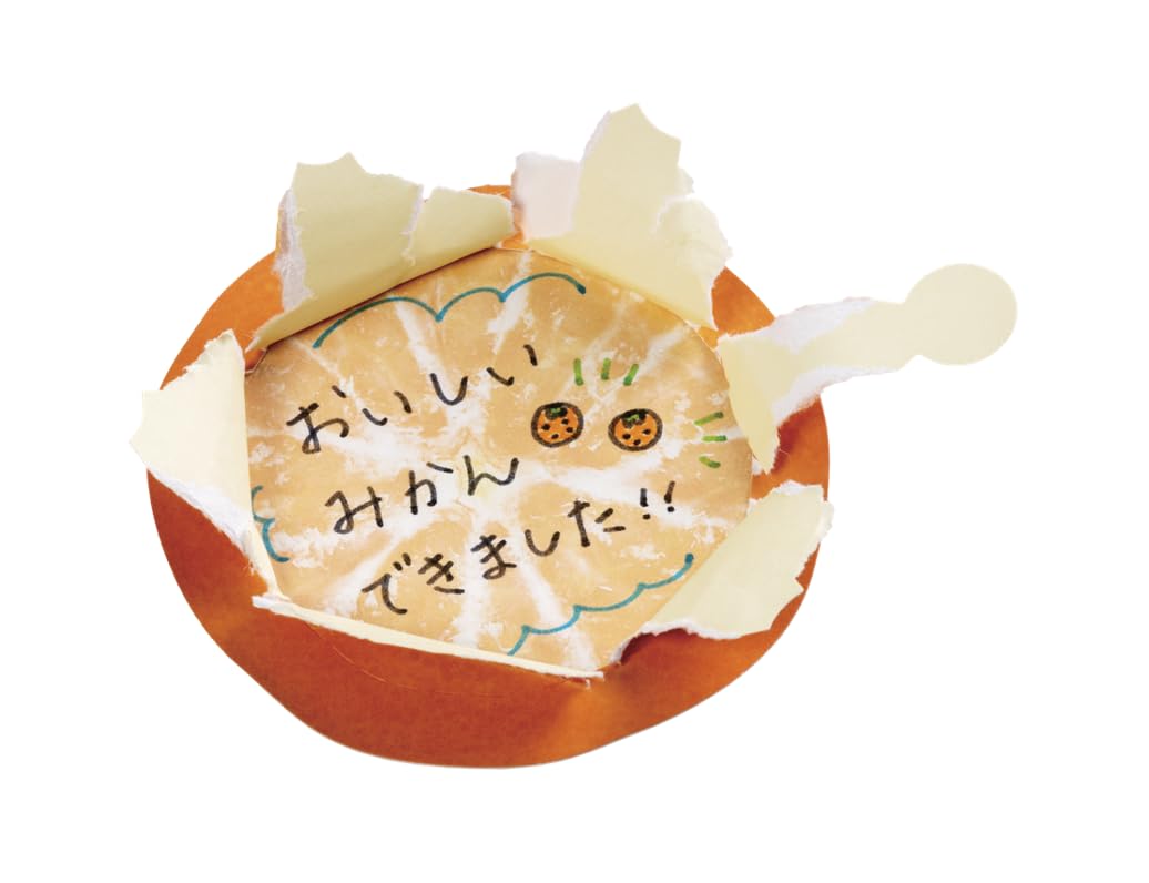 みかん様✩⋆確認専用ページ バースデーガーランド（ネーム含む） Amazon | フルーツメッセージ みかん 10袋30枚入りセット