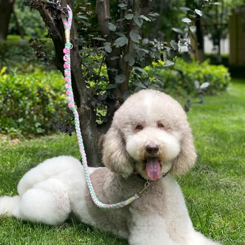 Dog Leash for Small, MediumDogs, 5ft Braided Cotton Leash with Floral Handle, Durable Pet Lead for Walking, Soft Comfortable Grip (Tulips) by ACMMMCA - Image 5
