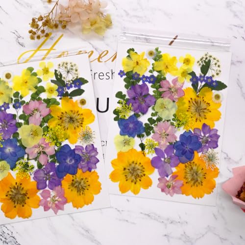 Flores secas prensadas naturales para manualidades x34 miniatura 2
