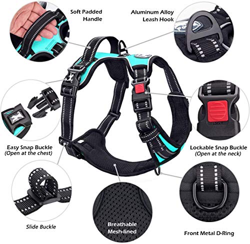 Image of PoyPet No Pull Dog Harness, No Choke Front Lead Dog Reflective Harness, Adjustable Soft Padded Pet Vest with Easy Control Handle for Small to Large Dogs(Mint Blue,S)