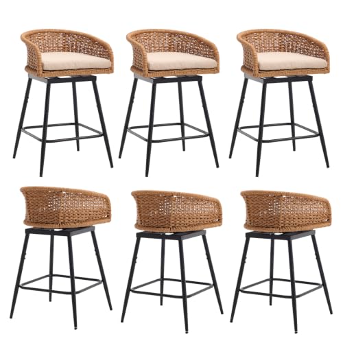 Modern 25" Outdoor Counter Height Bar Stools Set of 2,Charcoal Stool Seat
