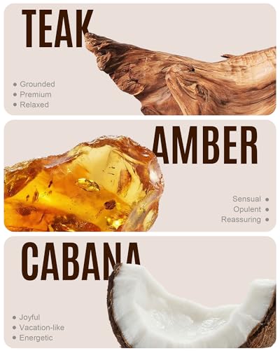 Image of Natural Wooden Car Air Freshener for Visor Clip- Natural Teak /Cabana /Amber Scents, Long-Lasting Odor Eliminator with Metal Clip, 3 Refillable Wood Chips for Cars /Trucks /SUVs
