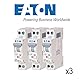 EATON 264746 PLG4-C16/1N – MODULARER DISJONCOR PH/N – Weiß – Griff Grau – 1P+N / 16 A – C-KURBE – Schraubanschluss – 3 Leistungsschalter