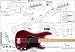 Plan of Fender Precision Bass 4 String - Full Scale Print