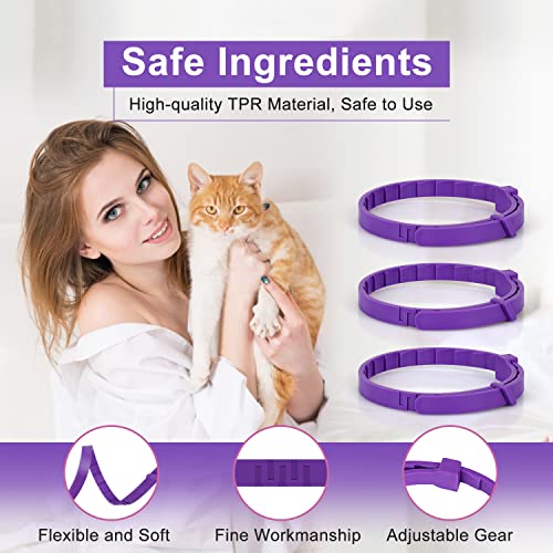 Anipaw Calming Collar For Cats 6 Pack Cat Calming Collar Relaxing Cat Pheromone Collar Adjustable Breakaway Design For Small Medium Large Cats Kitten Peeing Relieve Anxiety And Stress (Purple) #TOP5