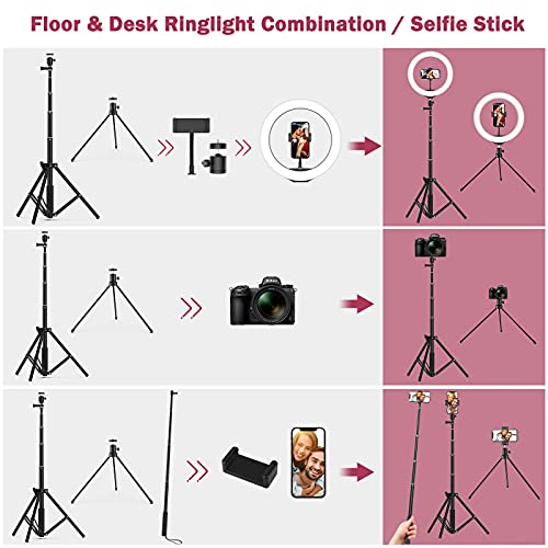 Ringlicht Mit Stativ Handy, 10 Zoll Ringlicht mit 2 Stativ für Live Streaming/Videokonferenz/YouTube/Makeup, LED… – Bild 3