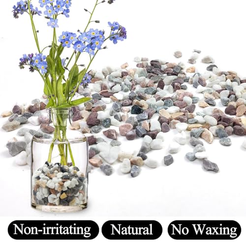Image of 2lbs Mixed Color Pebbles for Plants, 3 /8inch Small Rocks for Succulent Cactus Planters, Natural Polished Pebbles, River Rocks for Plants, Vases, Garden