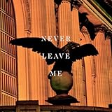  Never Leave Me (Vinjette Remix)