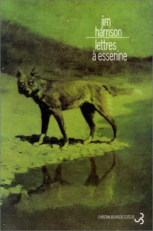Lettres à Essenine