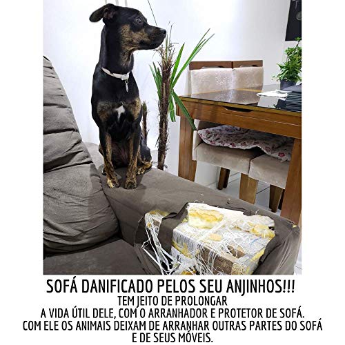 Arranhador De Gatos (Azul Marinho)