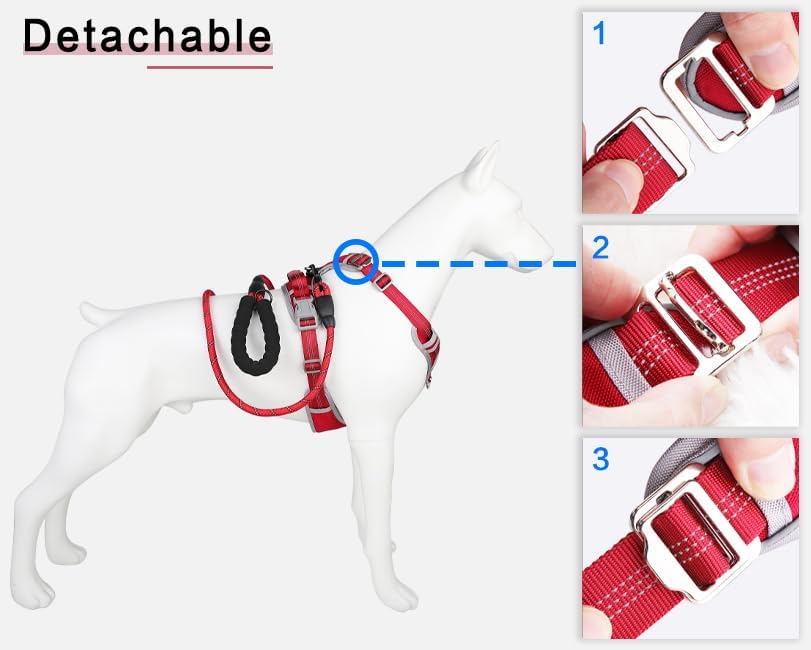 Dog Harness and Leash Set – Adjustable Dog Collar and Vest Harness for Dogs, Durable Pechera para Perros Medianos – Arnes Perro with Leash– S, M, L, XL Dog Harness and Leash Set - Image 8