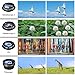 Phone Camera Lens Kit, 11 in 1 Cellphone Lens Kit for iPhone and Android, 0.63X Wide Angle+15X Macro+ 198°Fisheye+Telephoto+CPL/Flow/Radial/Star/Soft Filter+Kaleidoscope Lens