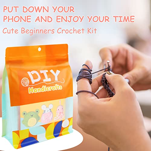 Kit de crochê para iniciantes, kit de 3 peças DIY de crochê com tutoriais em vídeo passo a passo, ki