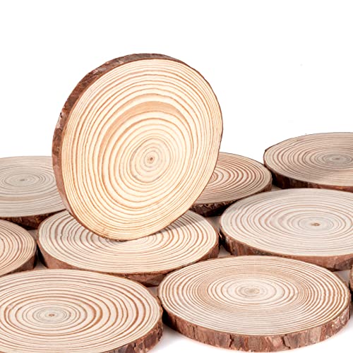 Lemonfilter Natural Wood Slices 12 Pcs 5.1-5.5 Inches Craft Wood Kit Wooden Circles Unfinished Log Wooden Rounds For Arts Crafts Wedding Christmas Diy Projects #TOP2
