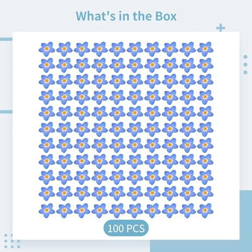 Pack 100 flores secas naturales azules prensadas miniatura 5
