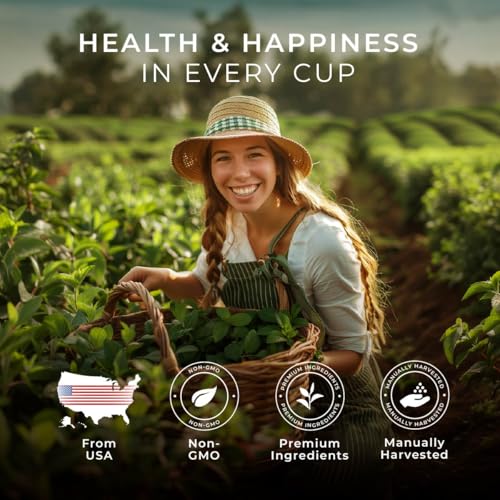 Image of Gya Tea Co Spearmint Tea Gift Set (16 Count) - Decaf Tea Pod for Lovers Get Well Gifts - Manually Harvested - Enjoy Hot or Iced